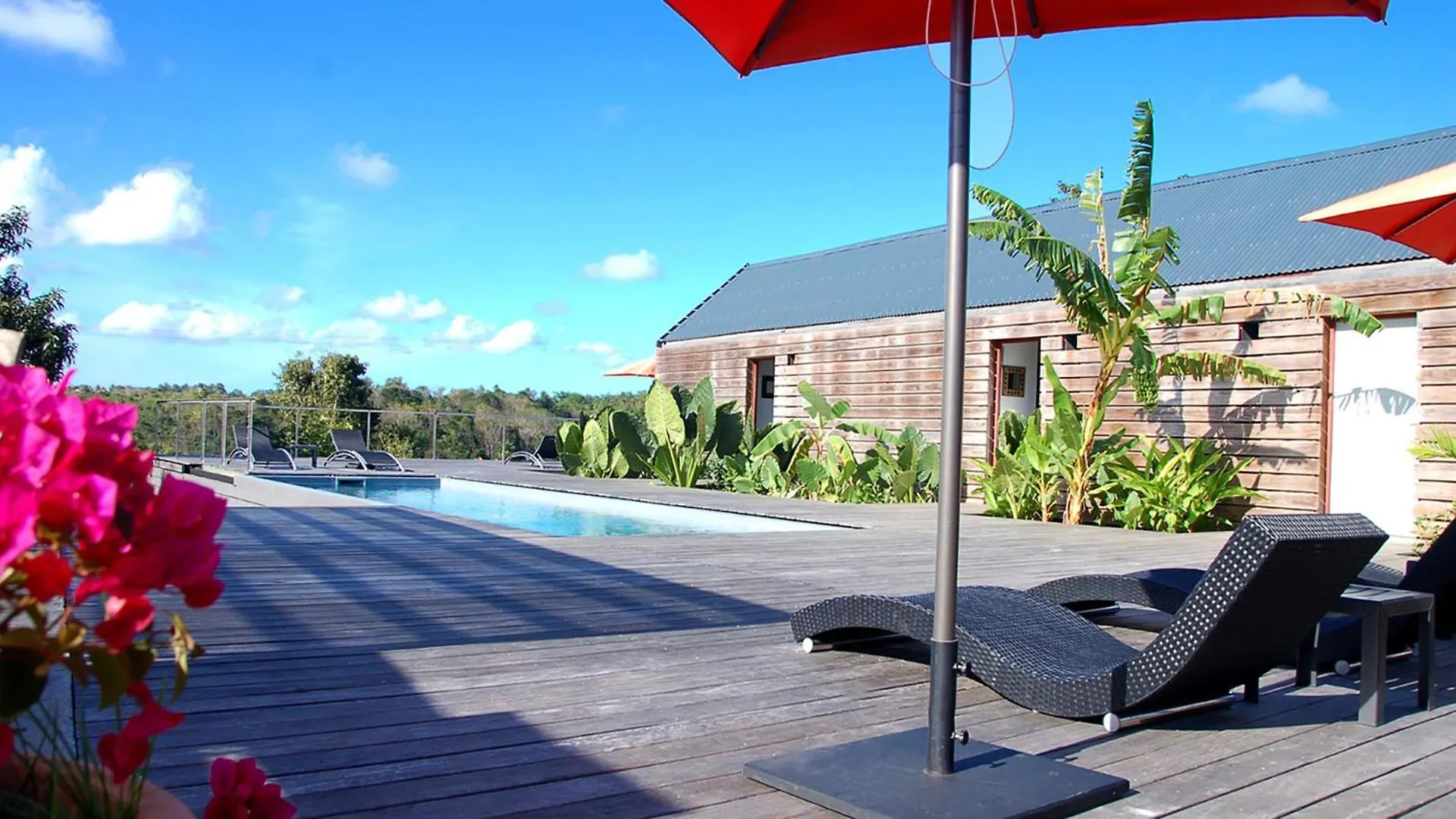 La Case Des Caraibes Le Gosier